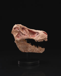 Carved T-Rex Skull | 3D Printer Model Files