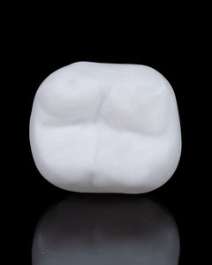 Healthy Premolar Tooth | 3D Printer Model Files