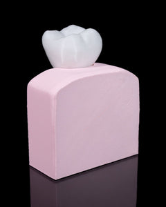 Healthy Premolar Tooth | 3D Printer Model Files