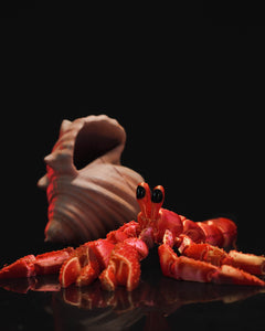 Hermit Crab in Shell - Articulated