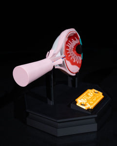 Human Eye | 3D Printer Model Files
