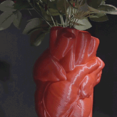 Human Heart Vase | 3D Printer Model Files