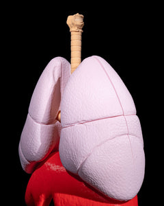 Lung Anatomical Model | 3D Printer Model Files