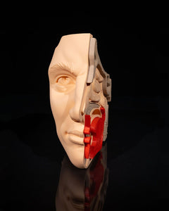 Nose and Sinus | 3D Printer Model Files