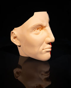 Nose and Sinus | 3D Printer Model Files