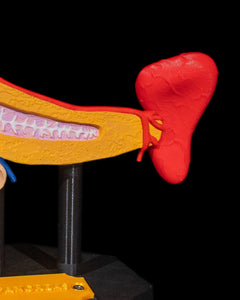 Pancreas Anatomical Model | 3D Printer Model Files
