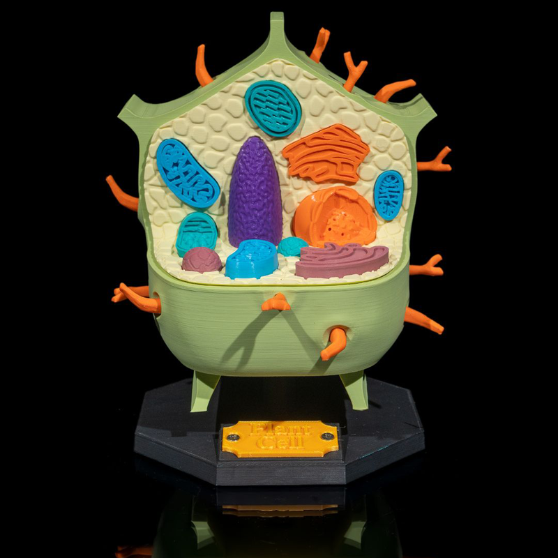 Plant Cell | 3D Printer Model Files
