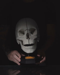 Human Adult Skull Anatomy 3D Printing STL Model Files 