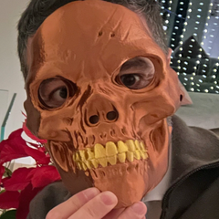 Skull Ghost Rider Mask | 3D Printer Model Files