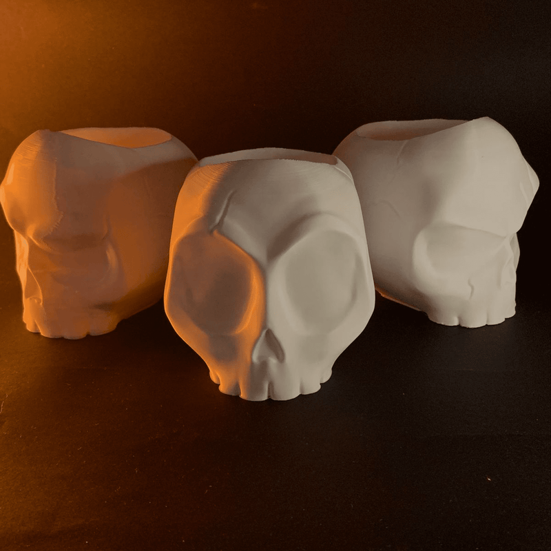 Skull Vases Planters | 3D Printer Model Files