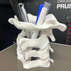 Spine Pen Holder | 3D Printer Model Files