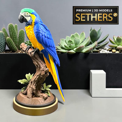 Ara Macaw bird on perch | 3D Printing Models at Sethers