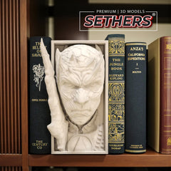 Night King GOT Game of Thrones | Book Nook w/ Wall Mount | 3D Printing Models