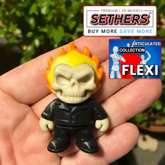 Ghost Rider Flexi Print in Place  | Best 3D Printer Model Files