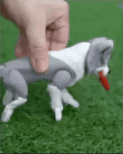 Border Collie | Flexi | Print In Place | Articulated | 3D Printing Models