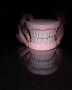 Upper and Lower Dental Arch | Teaching Tools | 3D Printing Models