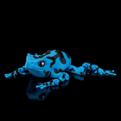 Poison Dart  Frog | Articulated | 3D Printer Model Files