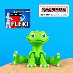 Gecko Lizard | Flexi Articulated | KeyChain | 3D Printing STL Models