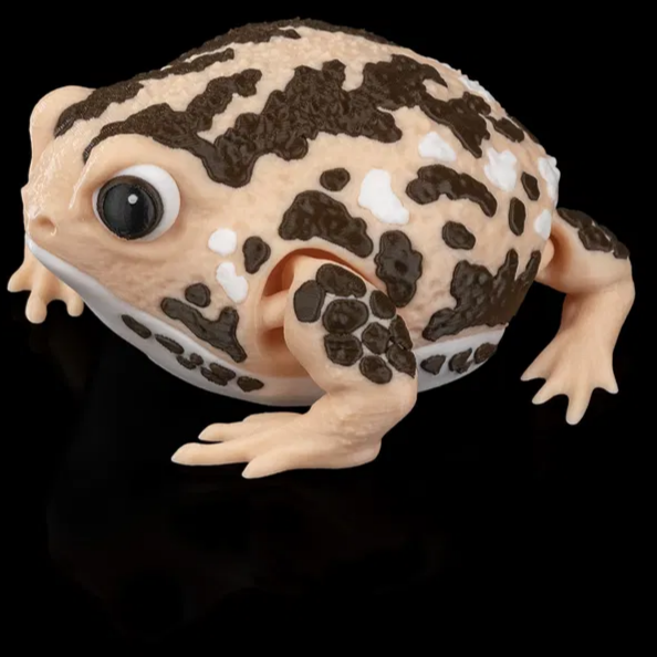 Rain Frog | Articulated | 3D Printer Model Files