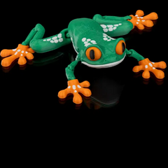 Red Eyed Tree Frog | Articulated | 3D Printer Model Files