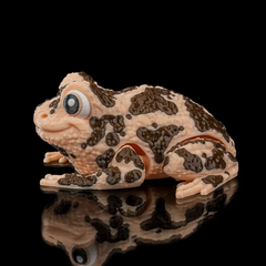 American Ground Frog | Articulated | 3D Printer Model Files