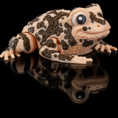 American Ground Frog | Articulated | 3D Printer Model Files