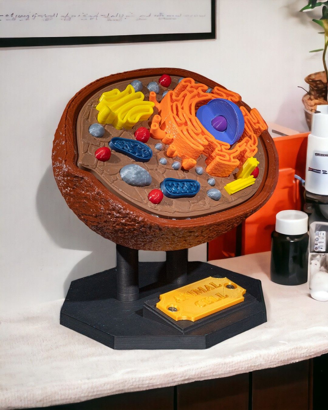 Cell 3d Model Animal Cell | 3D Printer Model Files
