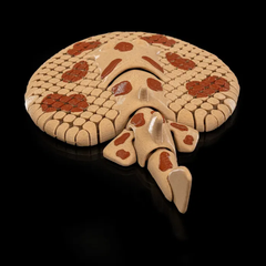 Electric Manta Ray| Flexi Articulated | 3D Printer Model Files