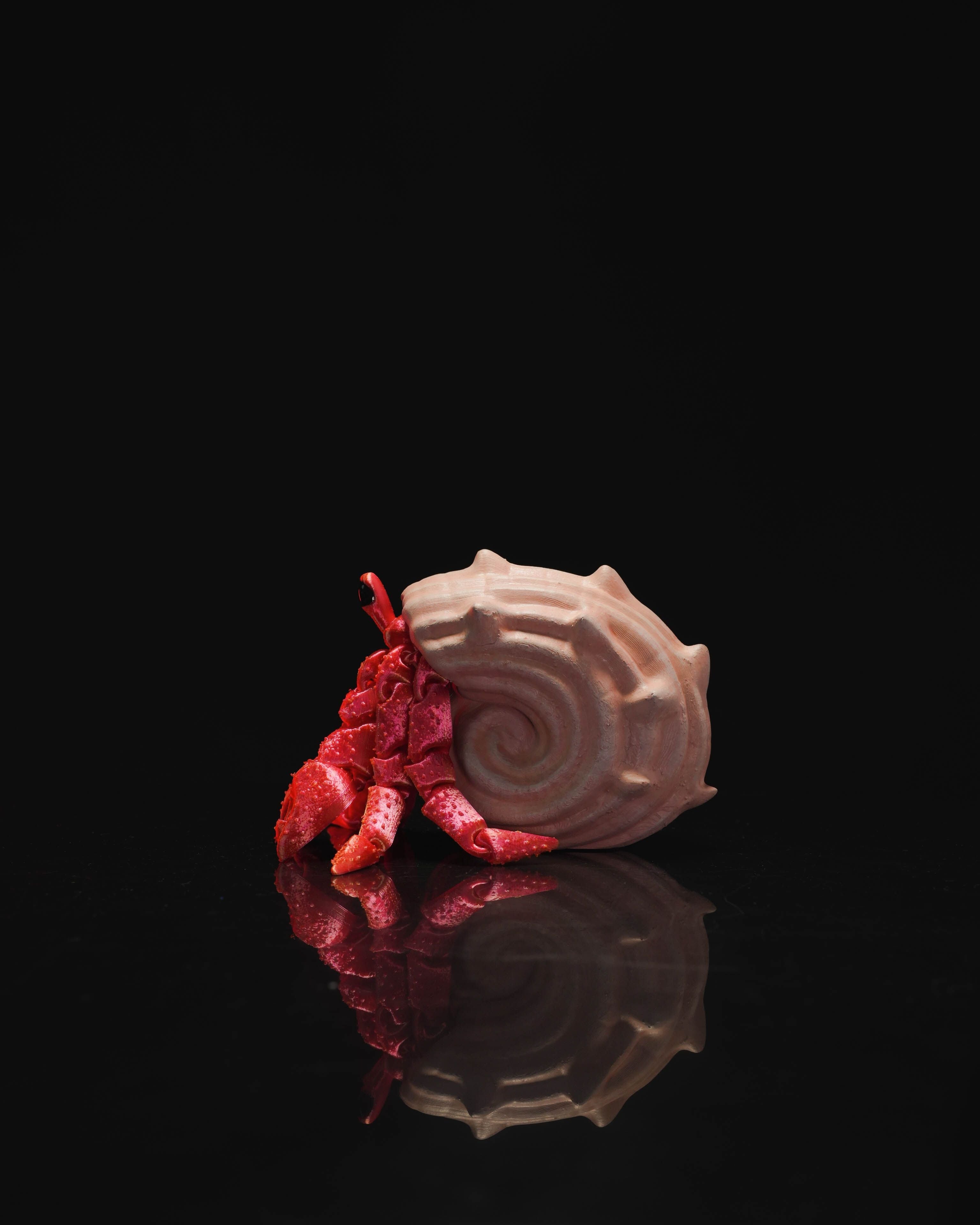 Articulated Hermit Crab In Shell 3D Printer Model Files
