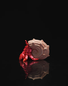 Articulated Hermit Crab in Shell | 3D Printer Model Files