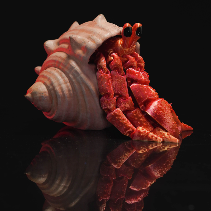 Articulated Hermit Crab in Shell | 3D Printer Model Files