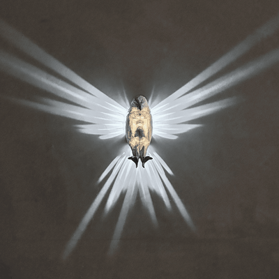 Bald Eagle Wall Night Light | 3D Printer Model Files