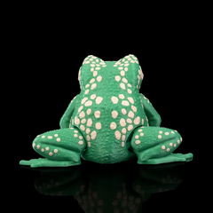 Cane Toad | Articulated | 3D Printer Model Files