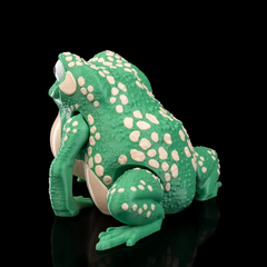 Cane Toad | Articulated | 3D Printer Model Files