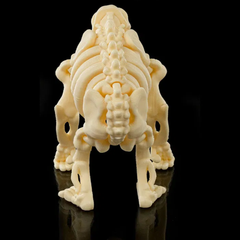 Chimpanzee Skeleton | 3D Printer Model Files