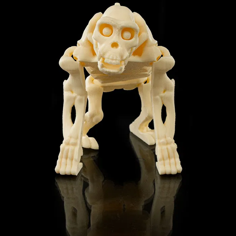 Chimpanzee Skeleton | 3D Printer Model Files