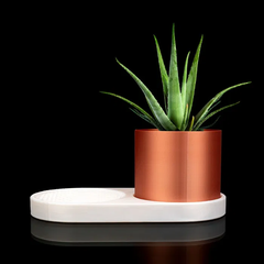 Dish And Planter | 3D Printer Model Files