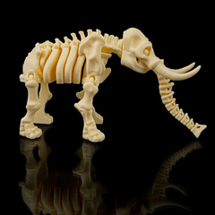 Elephant Skeleton | 3D Printer Model Files