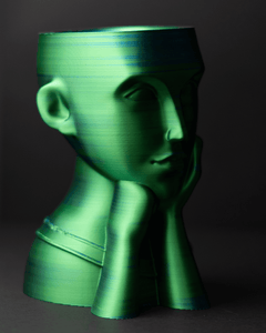 Face Vases | 3D Printer Model Files