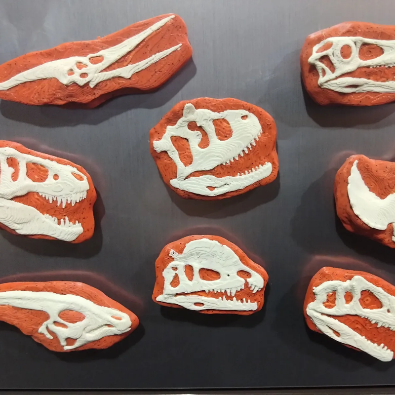 Fossil Fridge Magnets | 3D Printer Model Files