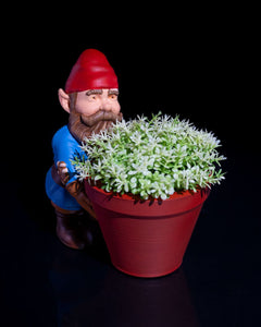 Gardening Gnome - Pebbles | 3D Printer Model Files