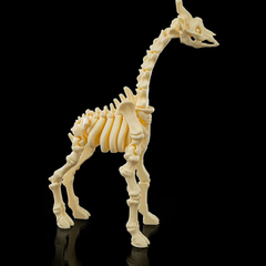 Giraffe Skeleton | 3D Printer Model Files