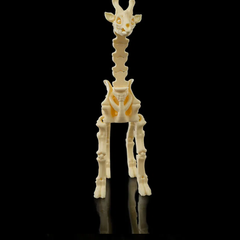 Giraffe Skeleton | 3D Printer Model Files