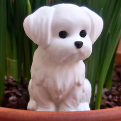 Maltese Dog | 3D Printer Model Files