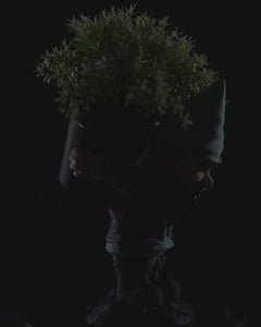 Gardening Gnome - Sprout | 3D Printer Model Files