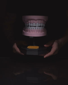 Upper and Lower Dental Arch | 3D Print Model