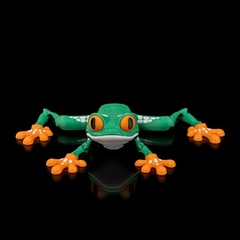 Red Eyed Tree Frog | Articulated | 3D Printer Model Files