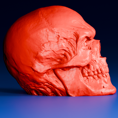 Red Skull Head Sculpture | 3D Printing Model STL Files