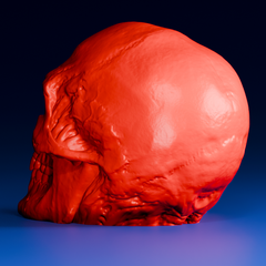 Red Skull Head Sculpture | 3D Printing Model STL Files