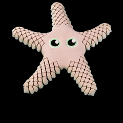 Articulated Star Fish | 3D Printer Model Files